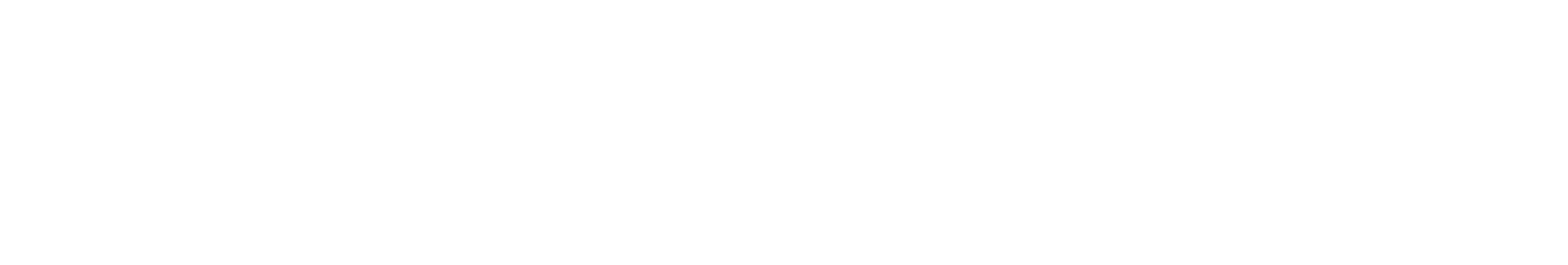 Dynamo